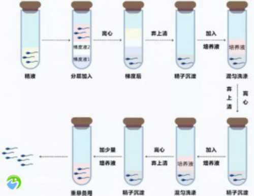 去福建三代试管婴儿费用是多少！资金储备！